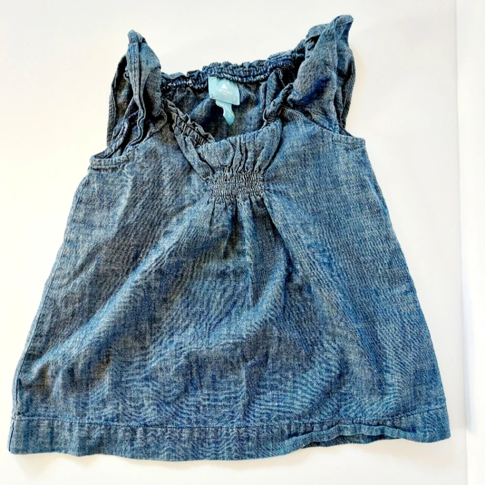 Denim/Chambray A-line Dress Ruched Bodice‎ 4T Baby Gap Family Photos